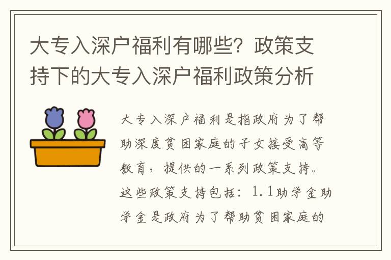 大專入深戶福利有哪些？政策支持下的大專入深戶福利政策分析