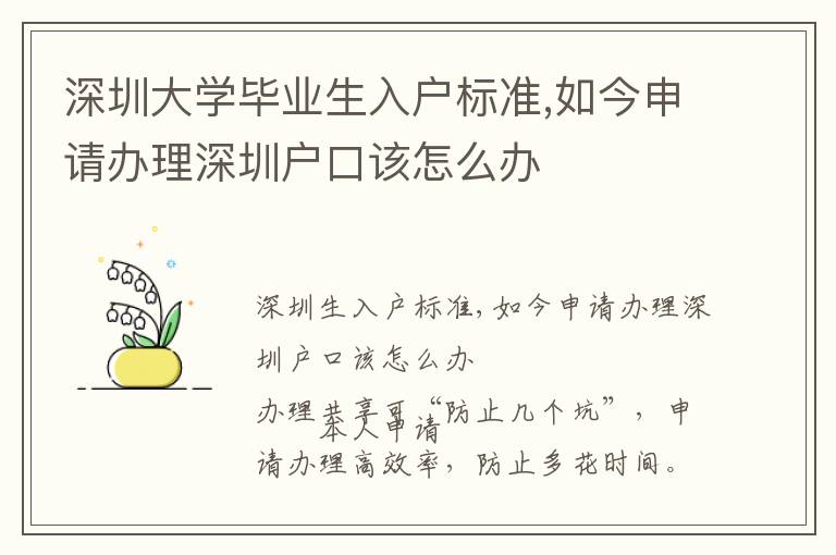 深圳大學畢業生入戶標準,如今申請辦理深圳戶口該怎么辦