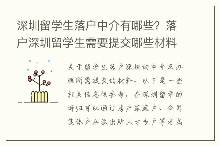 深圳留學生落戶中介有哪些？落戶深圳留學生需要提交哪些材料？