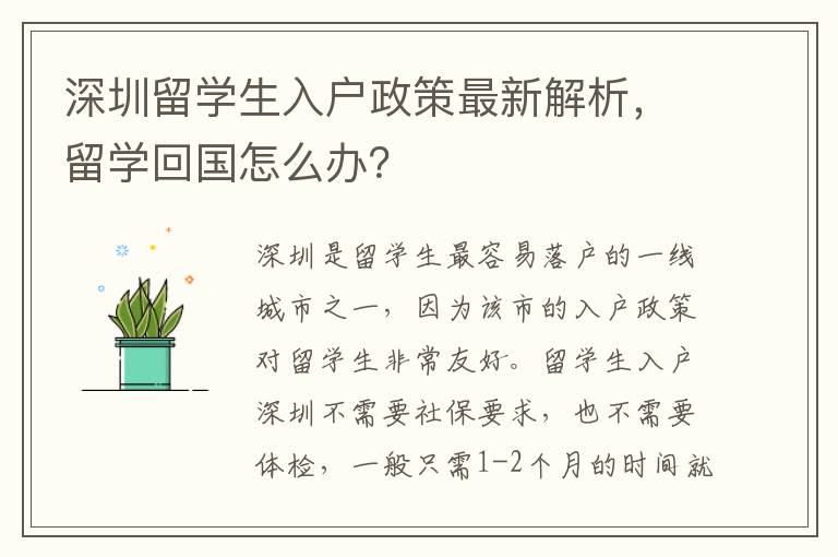 深圳留學生入戶政策最新解析，留學回國怎么辦？