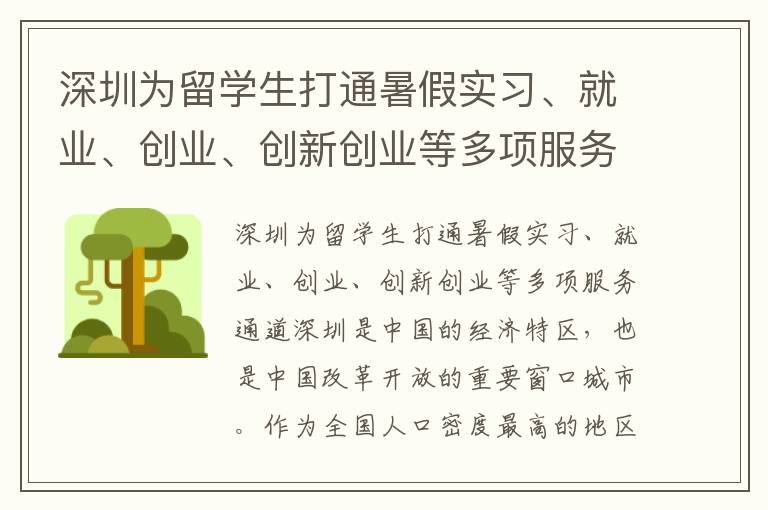 深圳為留學生打通暑假實習、就業、創業、創新創業等多項服務通道