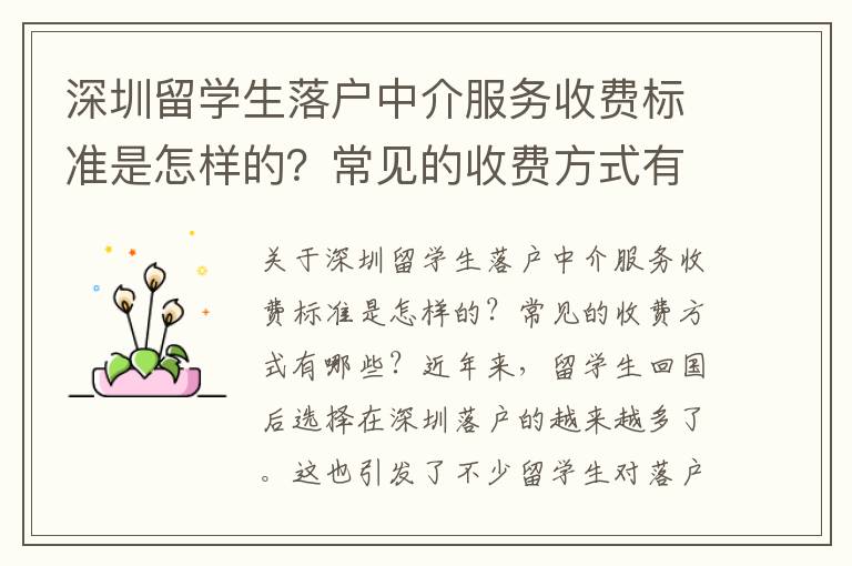 深圳留學生落戶中介服務收費標準是怎樣的？常見的收費方式有哪些？