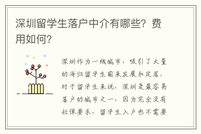 深圳留學生落戶中介有哪些？費用如何？