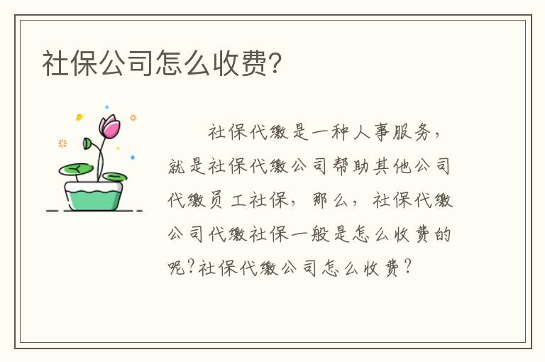 社保公司怎么收費？