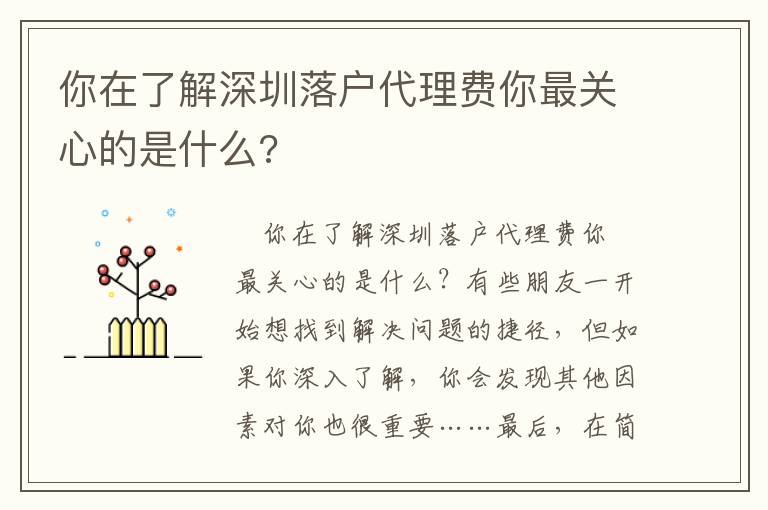 你在了解深圳落戶代理費你最關心的是什么?