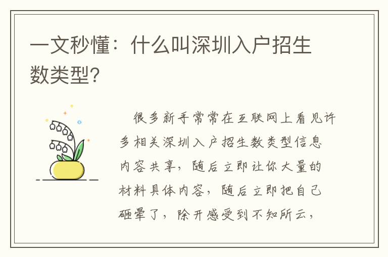 一文秒懂：什么叫深圳入戶招生數類型？