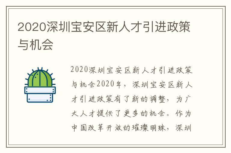 2020深圳寶安區新人才引進政策與機會