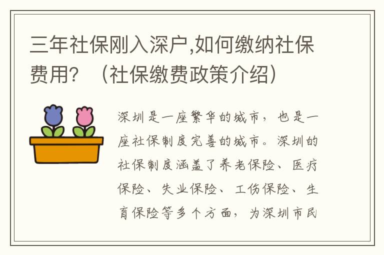 三年社保剛入深戶,如何繳納社保費用？（社保繳費政策介紹）