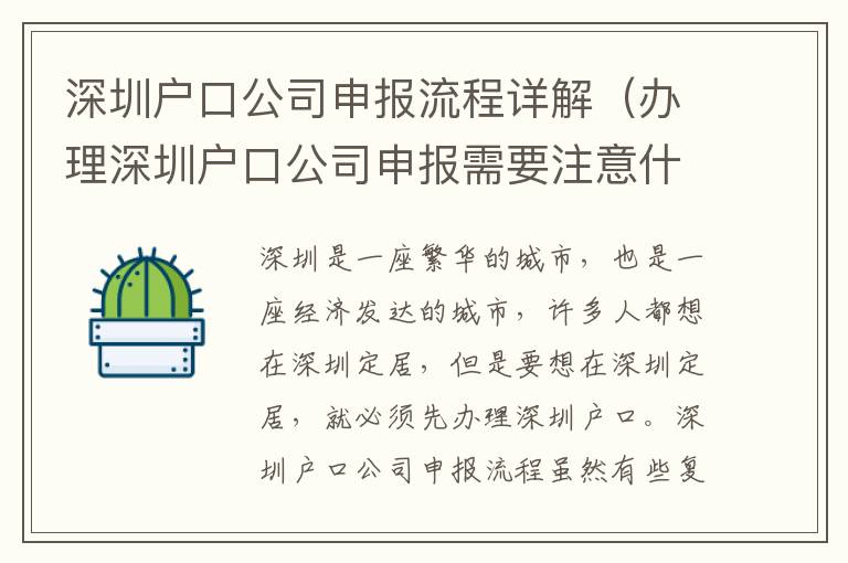 深圳戶口公司申報流程詳解（辦理深圳戶口公司申報需要注意什么）