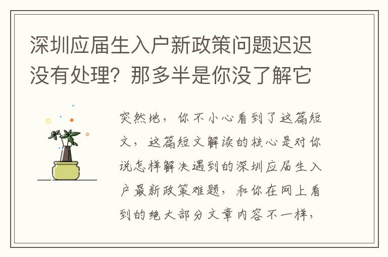 深圳應屆生入戶新政策問題遲遲沒有處理？那多半是你沒了解它