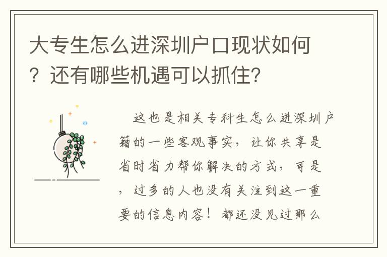 大專生怎么進深圳戶口現狀如何？還有哪些機遇可以抓住？