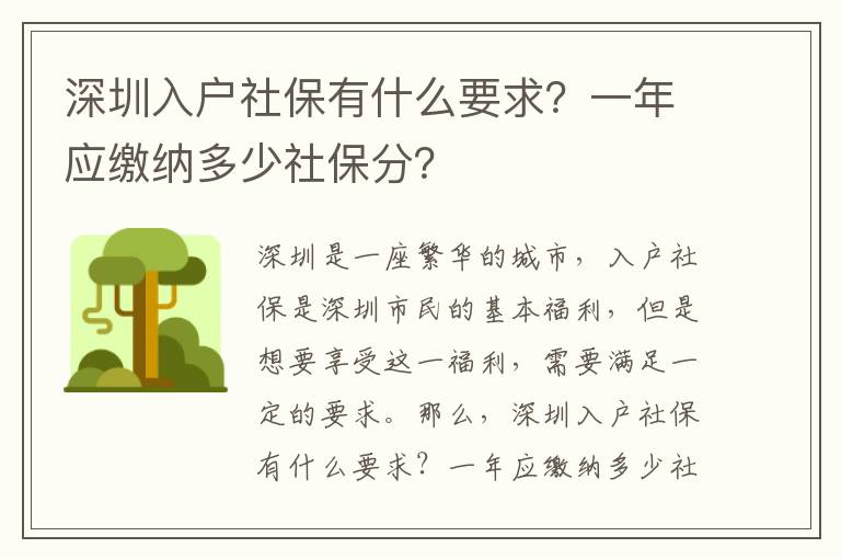 深圳入戶社保有什么要求？一年應繳納多少社保分？