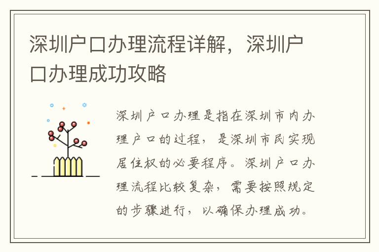 深圳戶口辦理流程詳解，深圳戶口辦理成功攻略