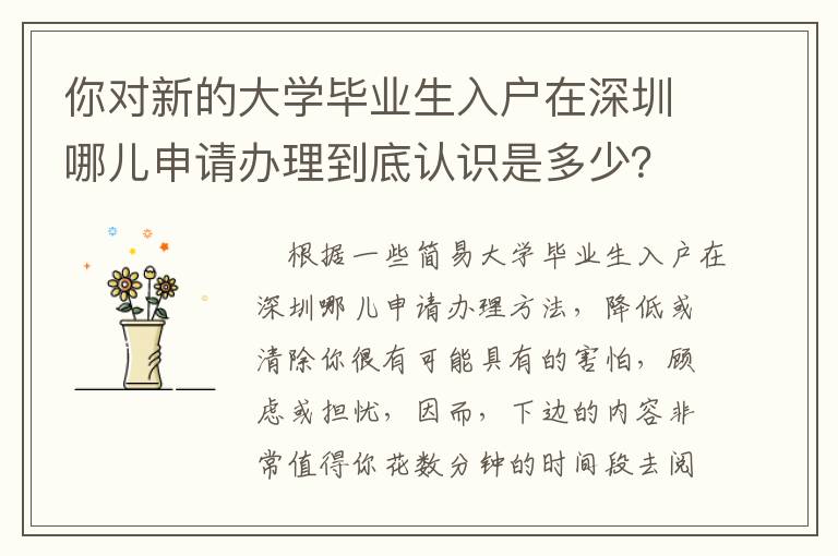 你對新的大學畢業生入戶在深圳哪兒申請辦理到底認識是多少？