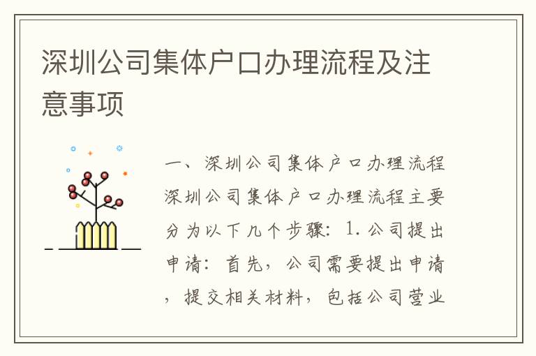 深圳公司集體戶口辦理流程及注意事項