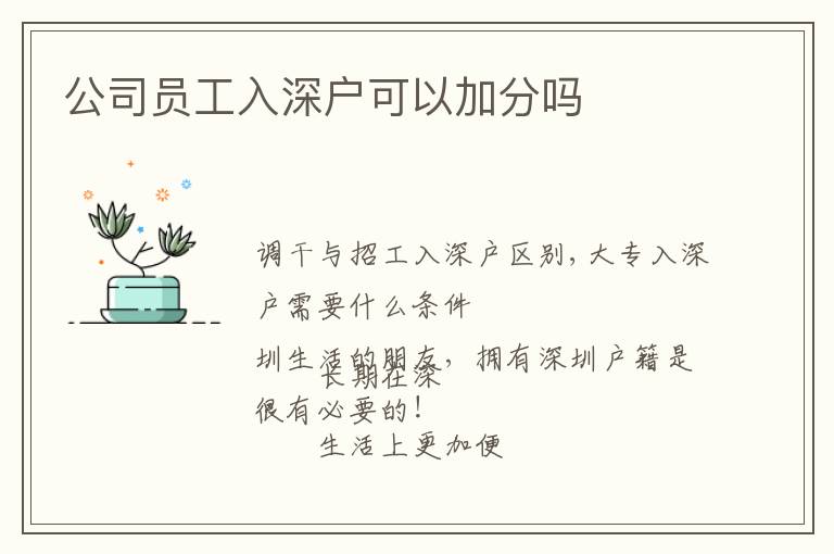 公司員工入深戶可以加分嗎