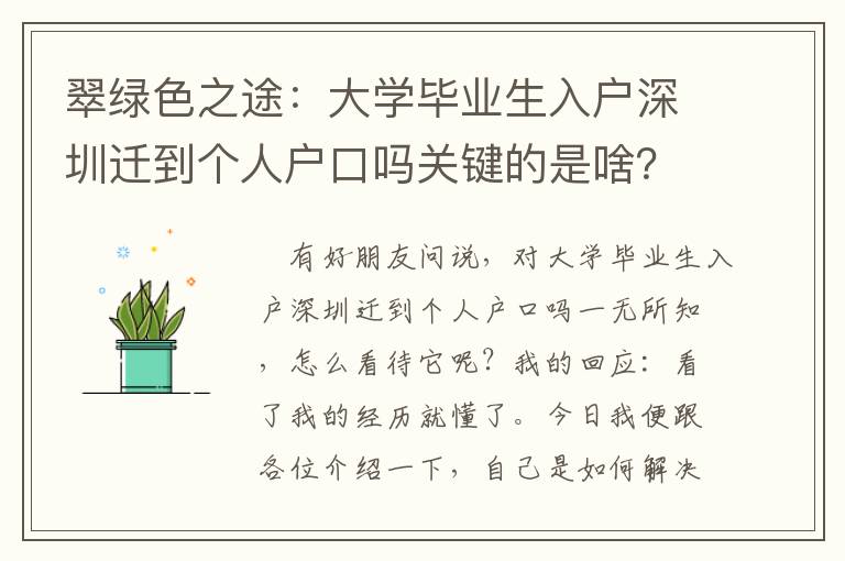 翠綠色之途：大學畢業生入戶深圳遷到個人戶口嗎關鍵的是啥？