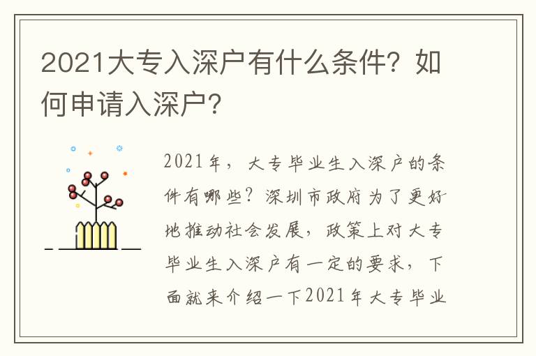 2021大專入深戶有什么條件？如何申請入深戶？