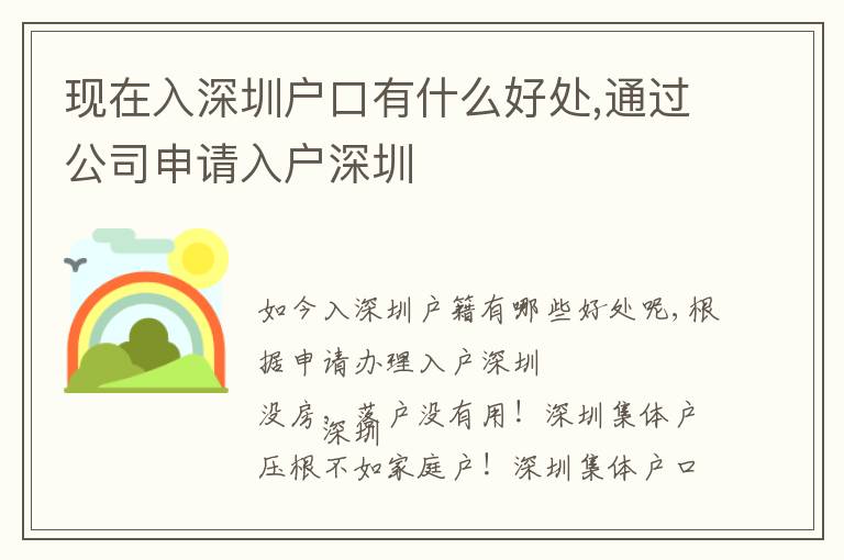 現在入深圳戶口有什么好處,通過公司申請入戶深圳