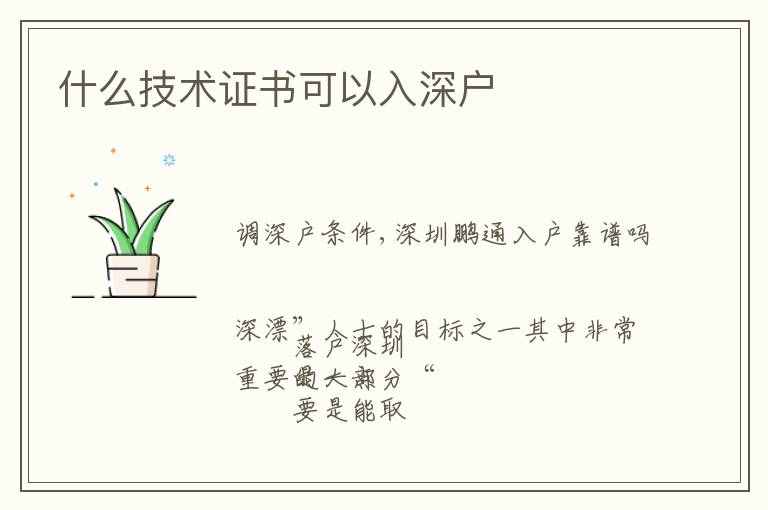 什么技術證書可以入深戶