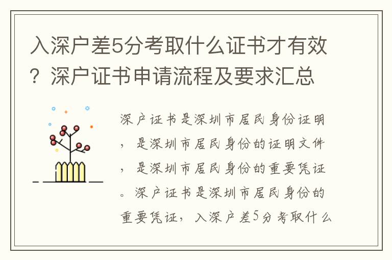 入深戶差5分考取什么證書才有效？深戶證書申請流程及要求匯總