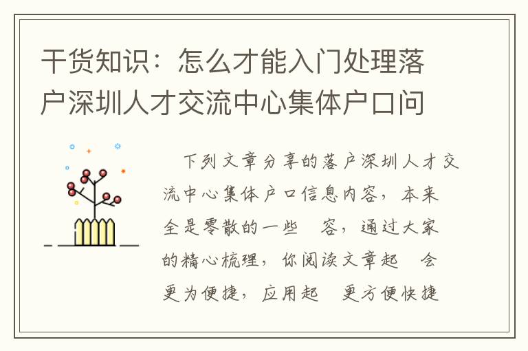 干貨知識：怎么才能入門處理落戶深圳人才交流中心集體戶口問題？