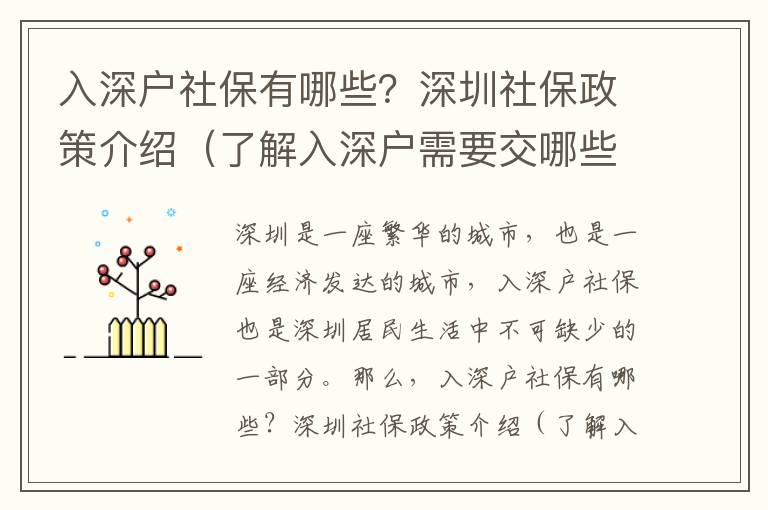 入深戶社保有哪些？深圳社保政策介紹（了解入深戶需要交哪些社保）