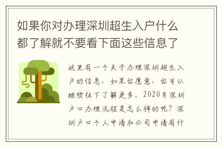 如果你對辦理深圳超生入戶什么都了解就不要看下面這些信息了！