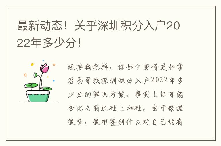 最新動態！關乎深圳積分入戶2022年多少分！