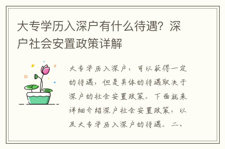 大專學歷入深戶有什么待遇？深戶社會安置政策詳解