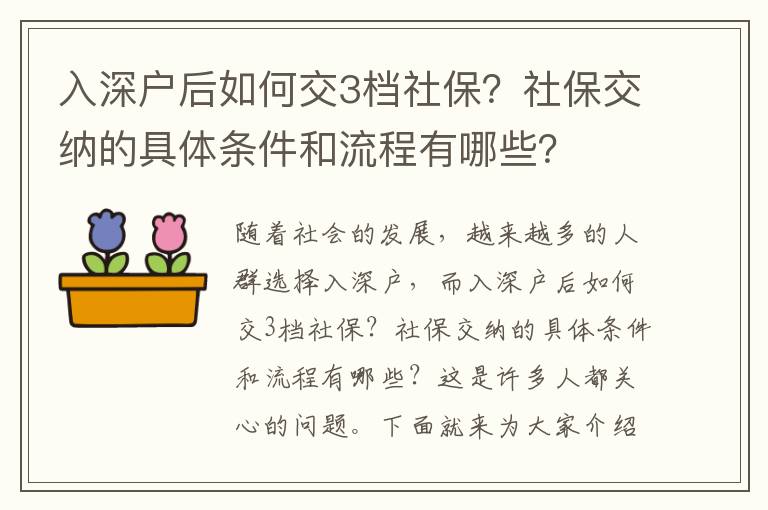 入深戶后如何交3檔社保？社保交納的具體條件和流程有哪些？