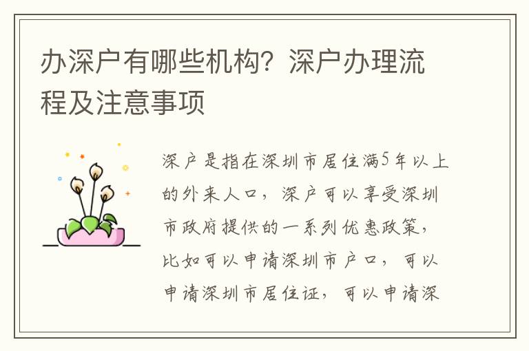 辦深戶有哪些機構？深戶辦理流程及注意事項