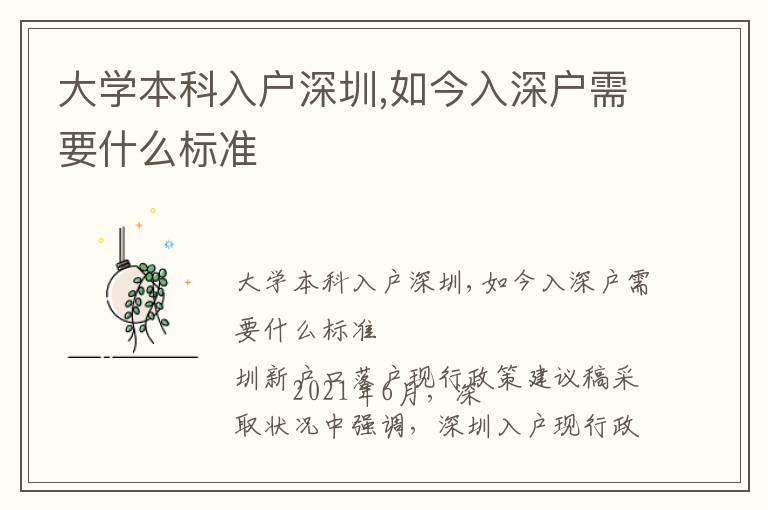 大學本科入戶深圳,如今入深戶需要什么標準