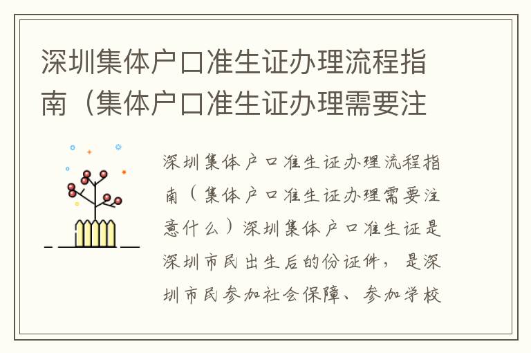 深圳集體戶口準生證辦理流程指南（集體戶口準生證辦理需要注意什么）