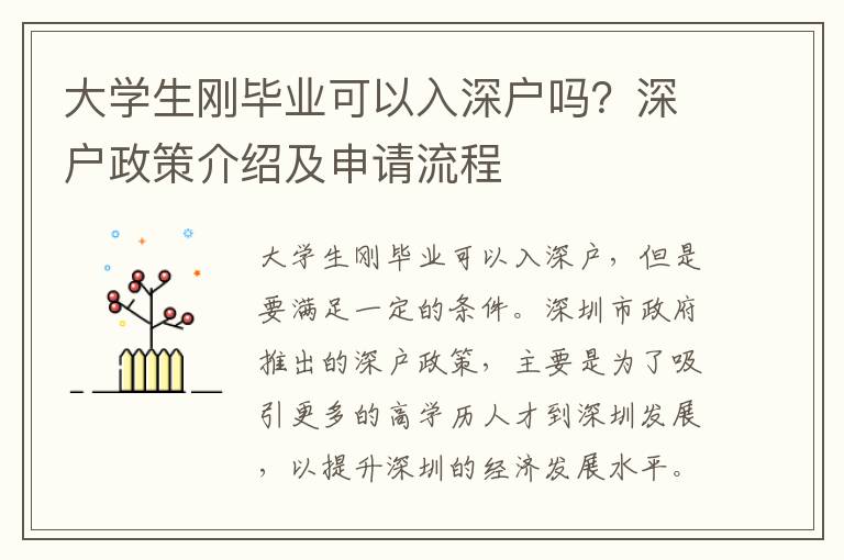 大學生剛畢業可以入深戶嗎？深戶政策介紹及申請流程