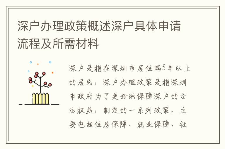 深戶辦理政策概述深戶具體申請流程及所需材料