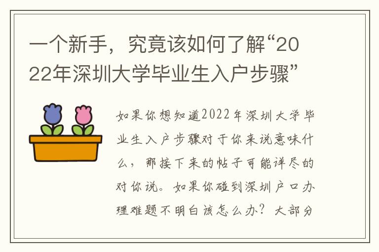 一個新手，究竟該如何了解“2022年深圳大學畢業生入戶步驟”