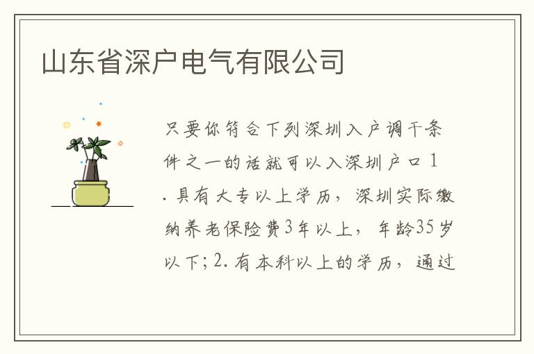 山東省深戶電氣有限公司