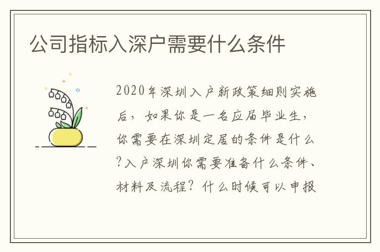 公司指標入深戶需要什么條件