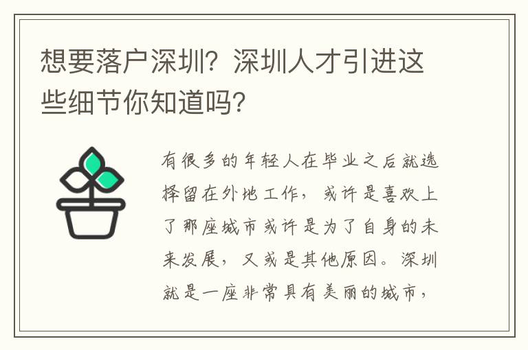 想要落戶深圳？深圳人才引進這些細節你知道嗎？