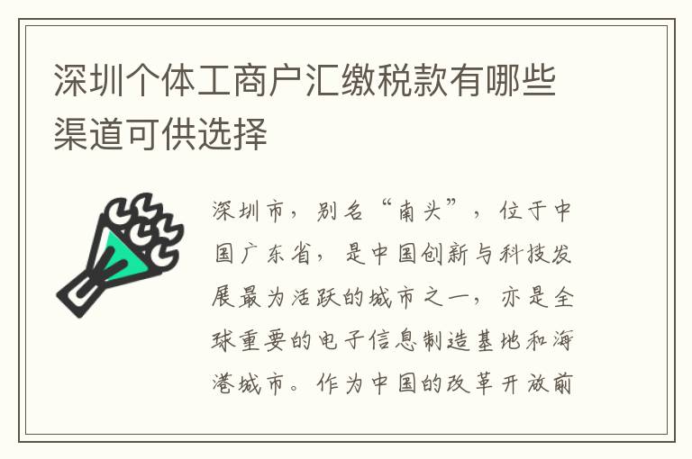 深圳個體工商戶匯繳稅款有哪些渠道可供選擇